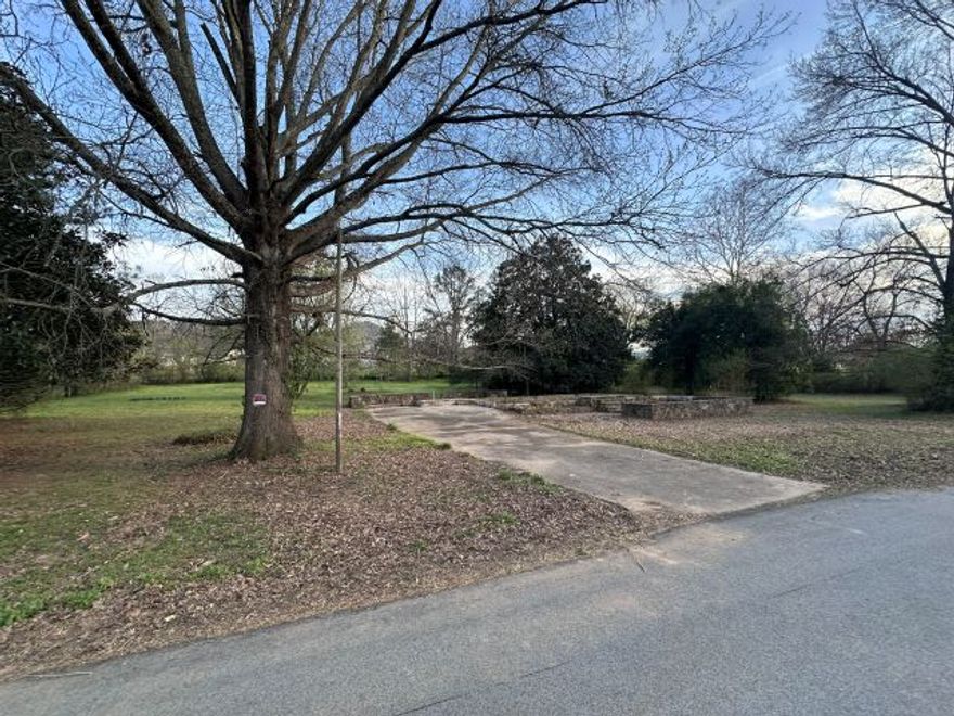 Discover a rare opportunity to own a large versatile lot in the heart of quaint Jasper, AR. within walking distance to park, public swimming and fishing holes, healthcare and restaurants. Zoned for commercial or residential use. Build your dream home or invest in a growing area with an increasing demand for housing.