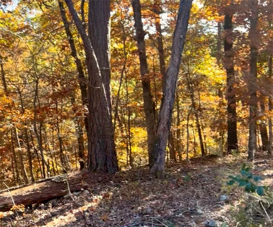 Dorset Sub Bvv - Land