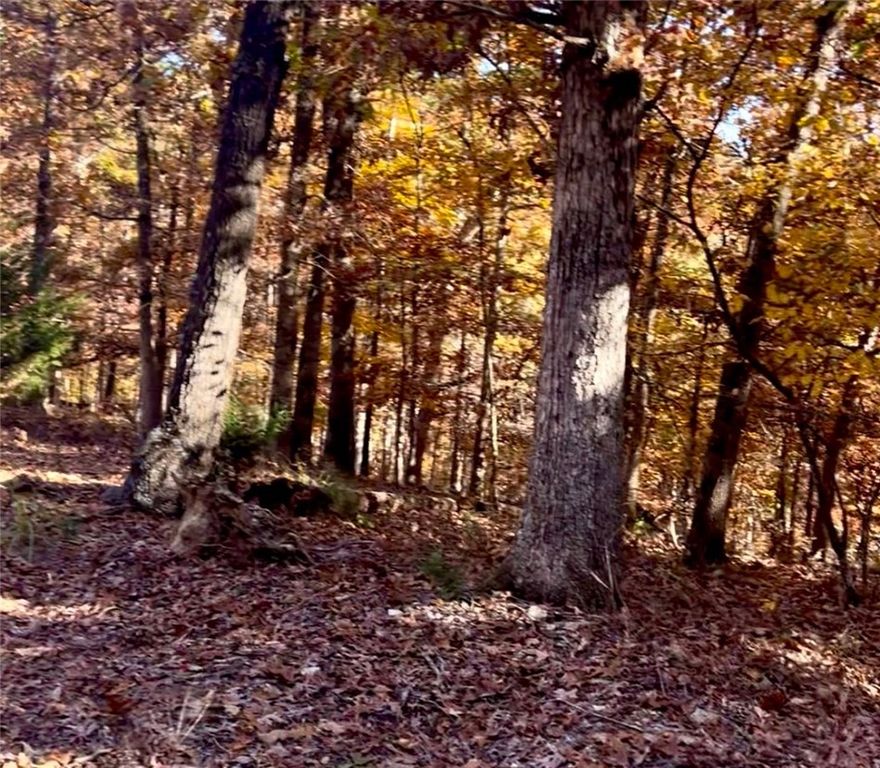 Discover an exceptional opportunity in Bella Vista! This prime, wooded lot spans just over a quarter-acre and is ideally situated at the end of a cul-de-sac, just off Lancaster Blvd. Enjoy the luxury of being a short walk from the beautiful Lake Avalon, making it perfect for those seeking both peace and convenience.