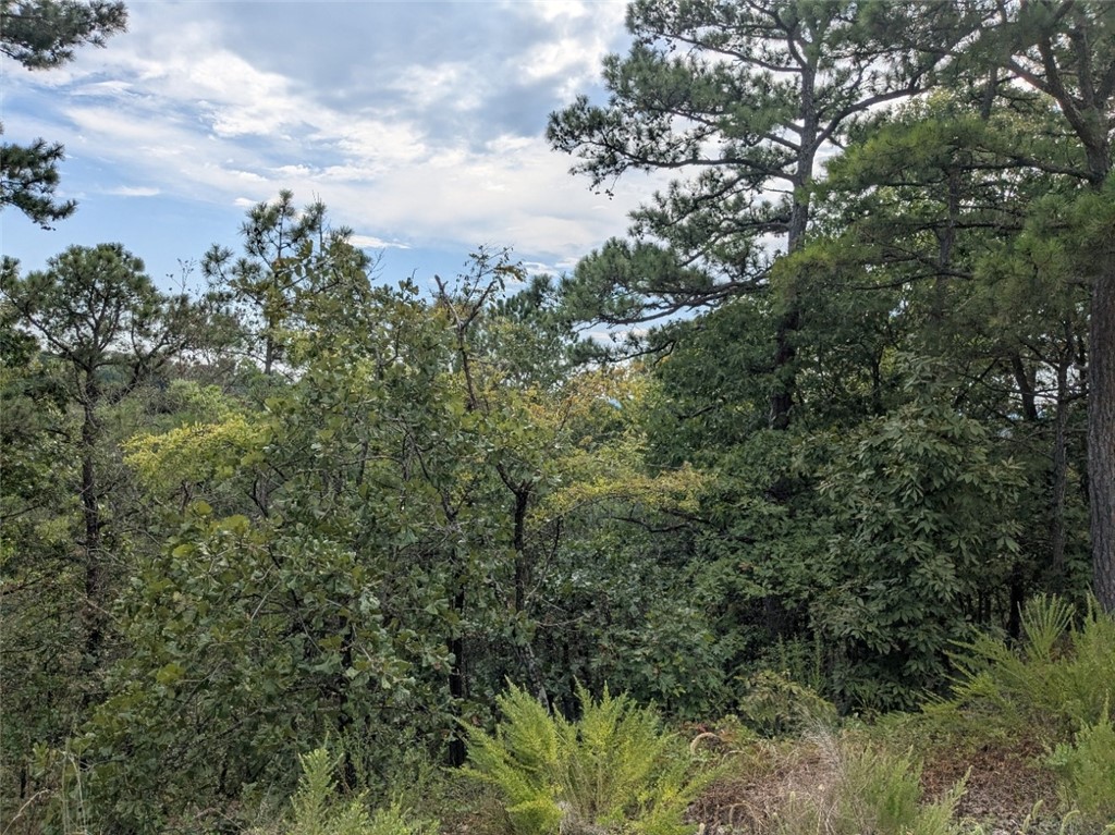 Unit 13 Holiday Island - Land