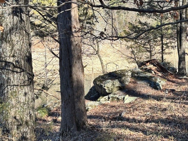 La Bonne Vie Rev - Land