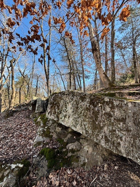 La Bonne Vie Rev - Land