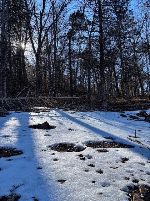 La Bonne Vie Rev - Land