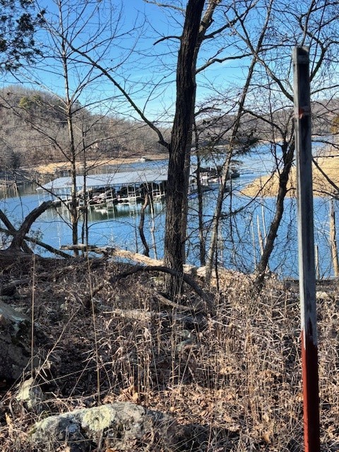 La Bonne Vie Rev - Land