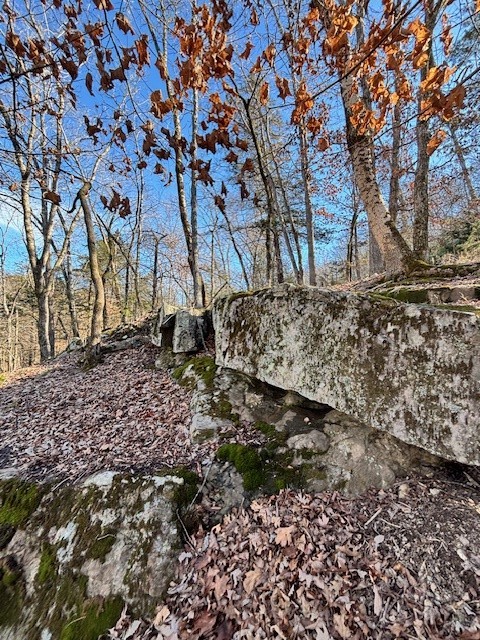 La Bonne Vie Rev - Land