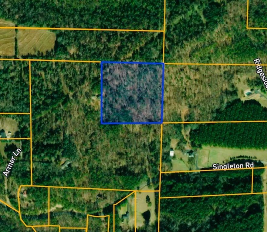 Ideally located between Russellville and Dover, this secluded mountaintop hideaway is the perfect place to build your dream home. With ample space to build, garden, and explore, the land boasts natural beauty and flexibility.  Enjoy the peace of country living while still being within easy reach of town amenities, major roads, and schools. Don't miss this rare opportunity to own your slice of paradise.
