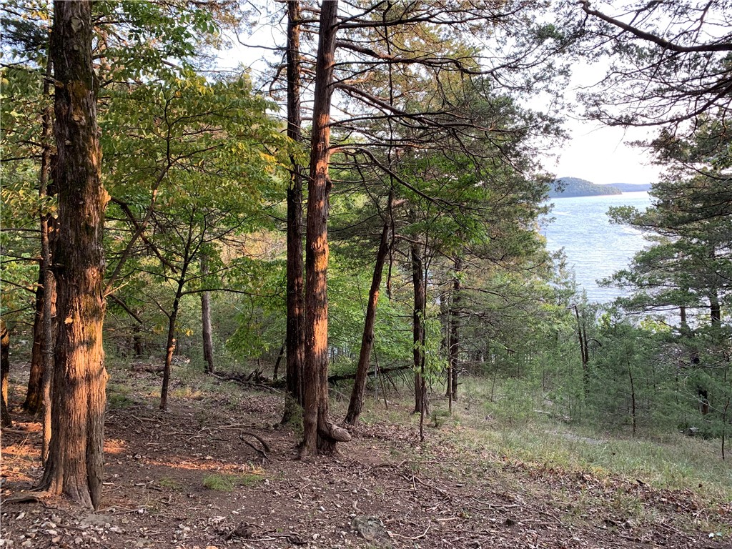 Let this gorgeous lakefront property become your retreat from the world! Accessed from Mundell Road, wind down Woodlake Dr to this magical place, surrounded by rock bluffs, beautiful trees and filtered lake views. Offering end of the road privacy and over 700" of protected shoreline, the building site has been cleared and is ready for you to explore and create your own private lake front haven.