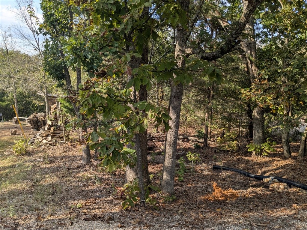 Unit 8 Holiday Island - Land