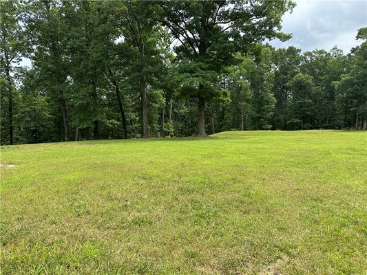 1175 COUNTY RD 152, EUREKA SPRINGS, AR 72632 - Image d7a57e2ece780f74b50bf8cbbc5c4b79/2640738082