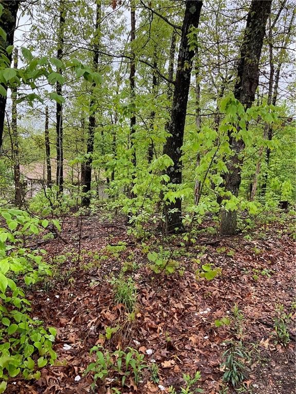 Long narrow lot - may be suitable for a smaller house plan. The minimum square footage in this subdivision in this subdivision is 800 sq ft. Wooded and sloping, it's in a really pretty area. Backs up to the Back 40 trail. Bella Vista is an amazing place to call home!