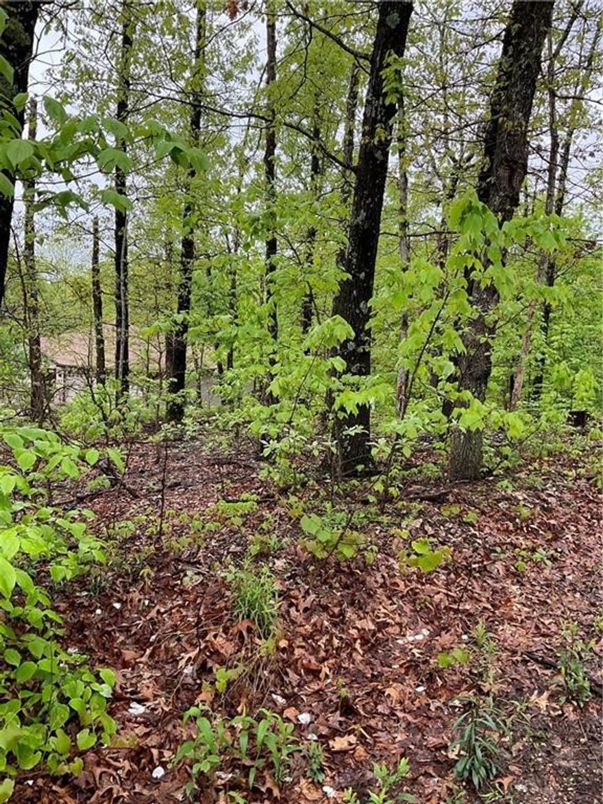 Long narrow lot - may be suitable for a smaller house plan. The minimum square footage in this subdivision in this subdivision is 800 sq ft. Wooded and sloping, it's in a really pretty area. Backs up to the Back 40 trail. Bella Vista is an amazing place to call home!
