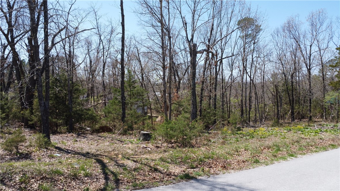 Tanglewood Resort 1 Rurban - Land