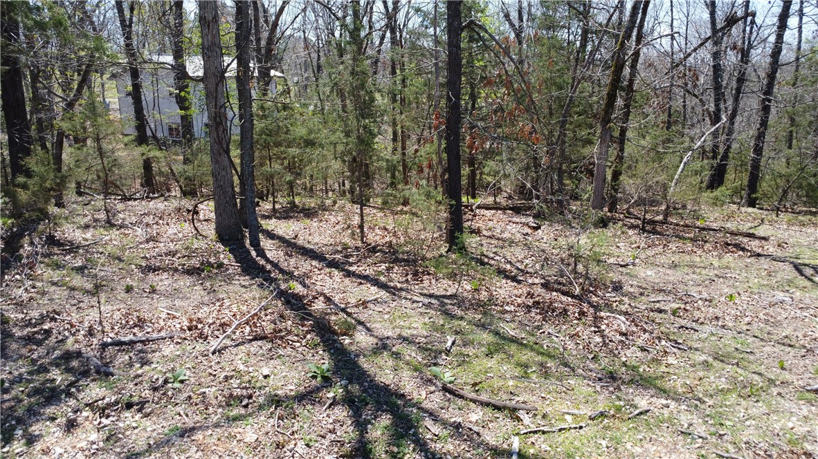 Tanglewood Resort 1 Rurban - Land