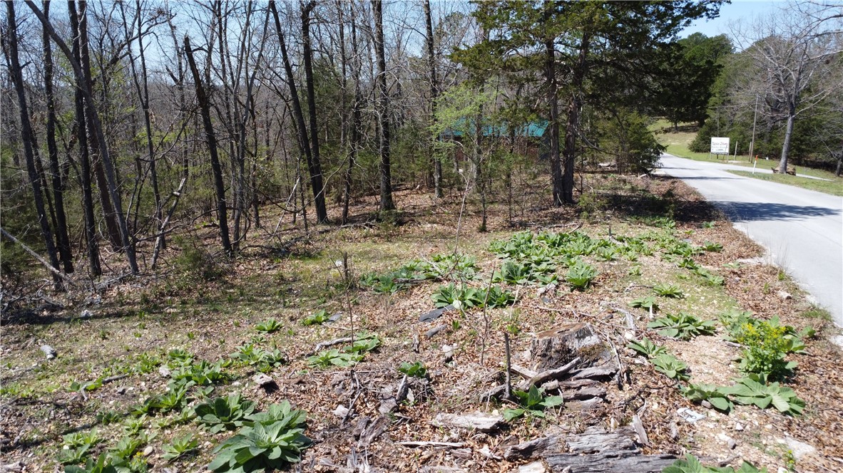Tanglewood Resort 1 Rurban - Land
