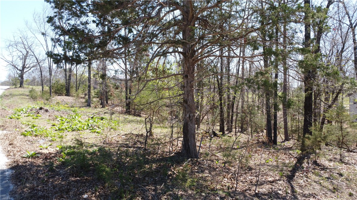 Tanglewood Resort 1 Rurban - Land