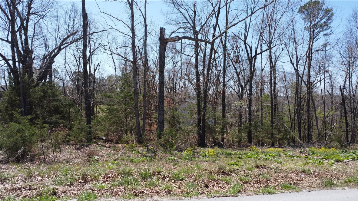 Tanglewood Resort 1 Rurban - Land