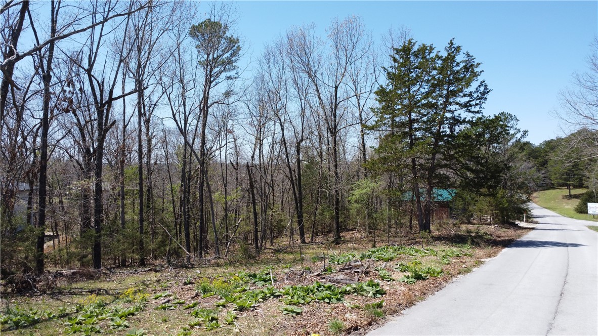 Tanglewood Resort 1 Rurban - Land