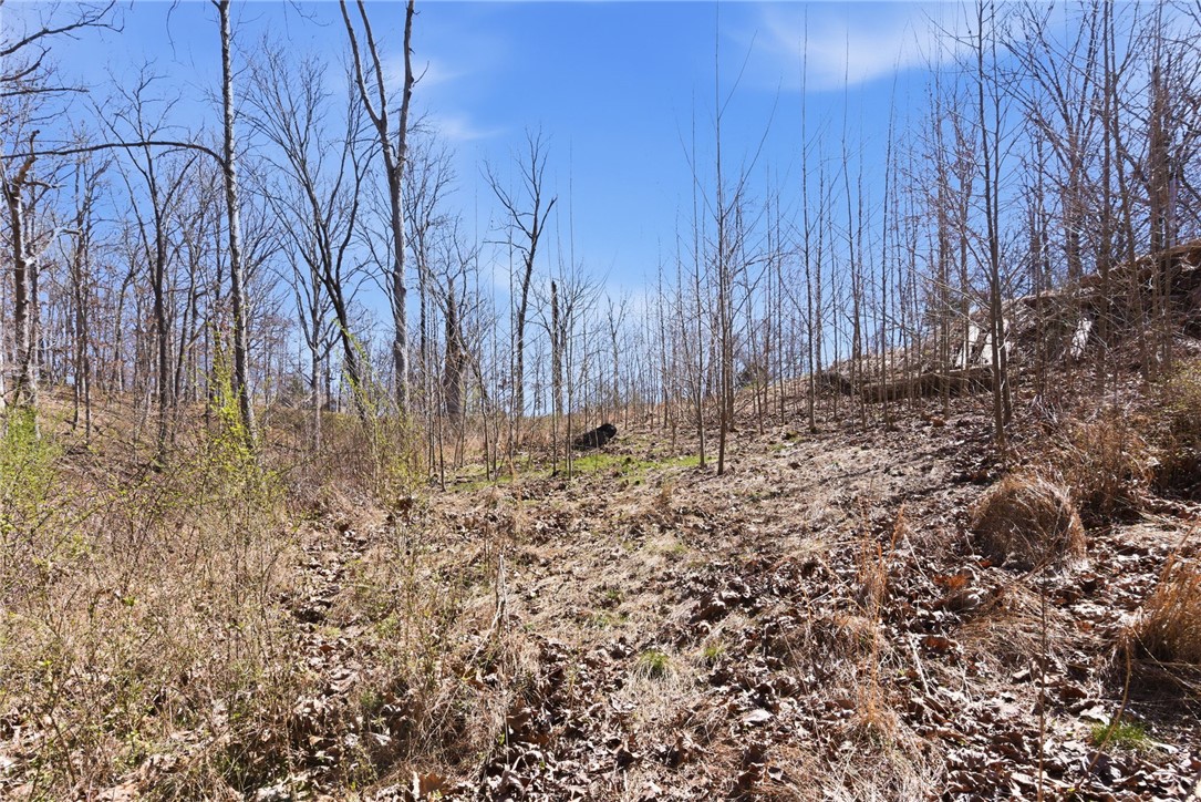 Plentywood Farms West Unit 2 Rurban - Land