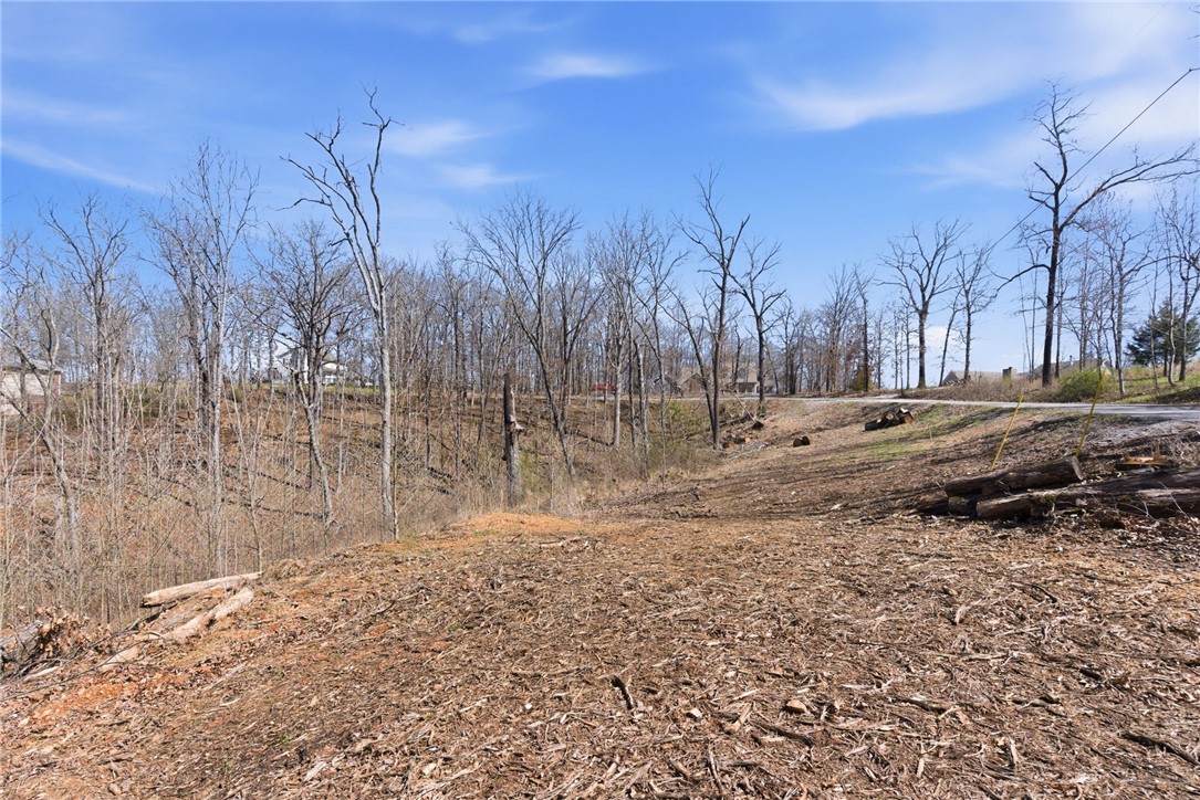 Plentywood Farms West Unit 2 Rurban - Land