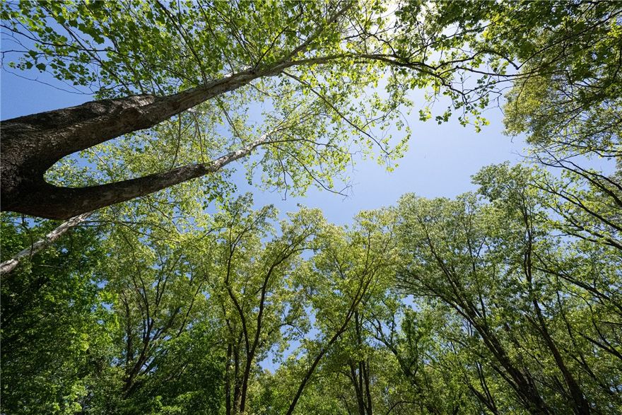 This lot is surrounded by newly built homes with the bike trail in the backyard.  Perc test attached to MLS