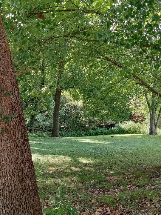 Green Acres Sub Bentonville - Residential
