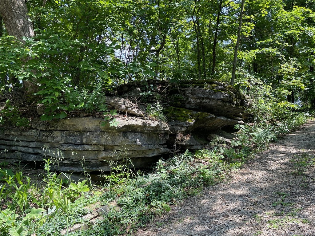 Mo Ark View Estates - Residential