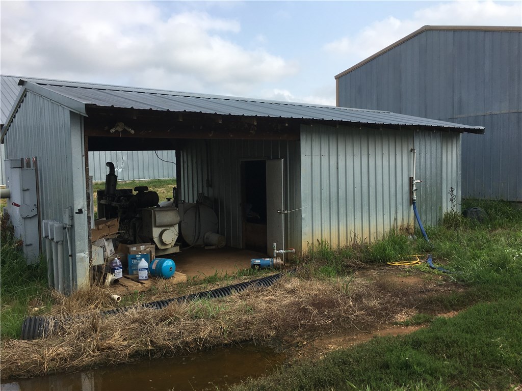 Chicken Mountain - Farm