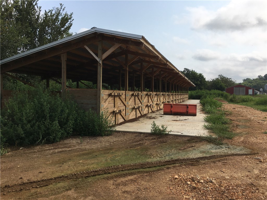 Chicken Mountain - Farm