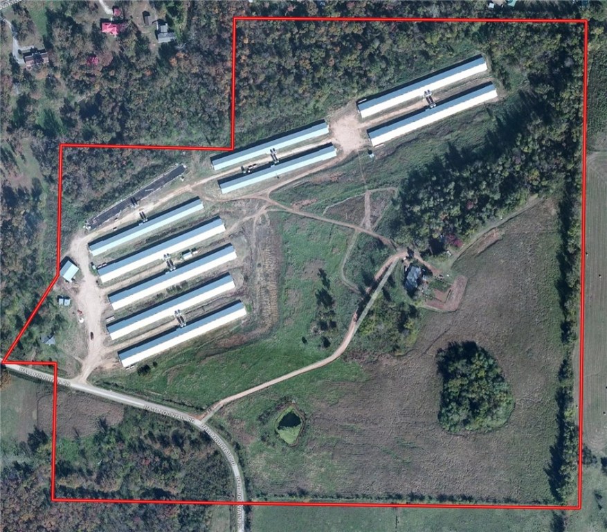 Chicken Mountain - Farm