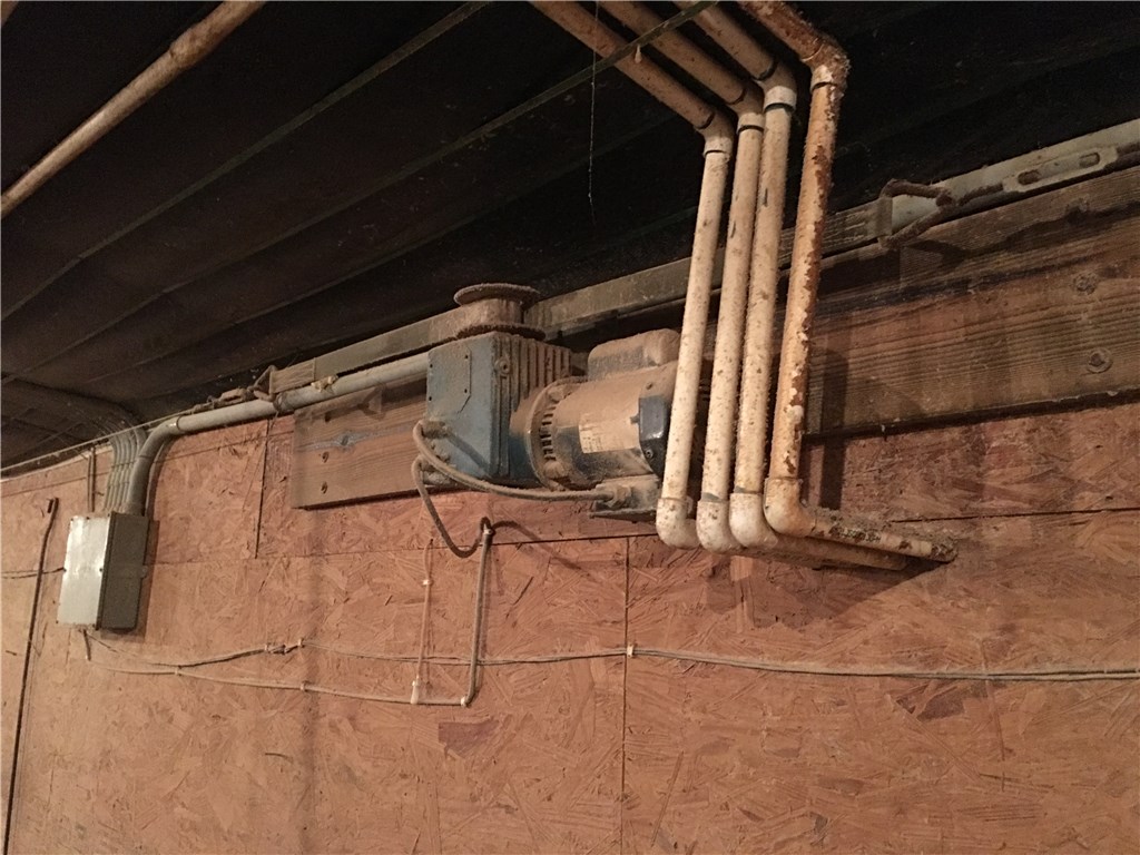 Chicken Mountain - Farm