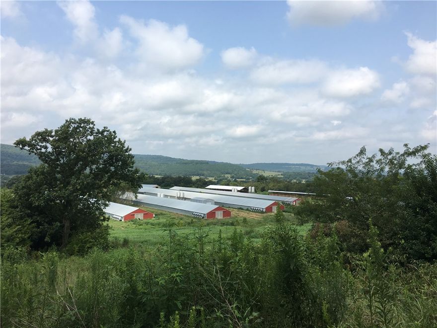 Good producer at 172,200 SQF and annual gross income at $415,000. Beautiful views while you make money on your own terms with a Simmons contract for 6lb birds. Some acreage is in hay production. Three barns built in 1995 (32x450 steel truss) and 6 barns built in 2005 (43x500 wood truss).
