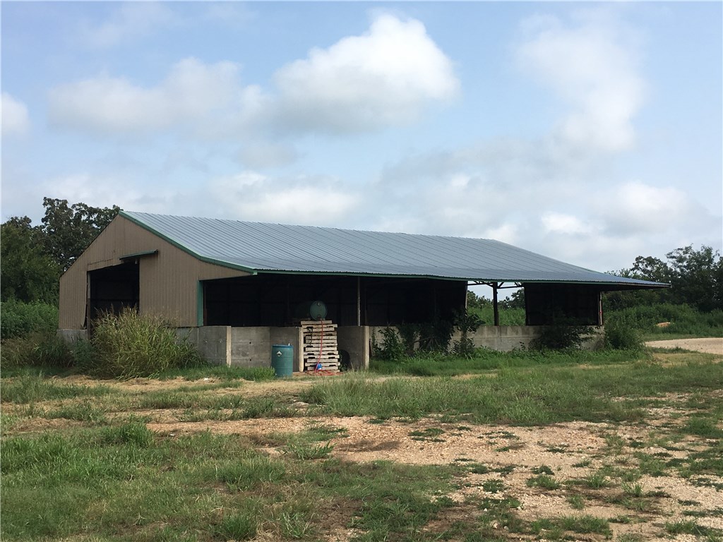 Chicken Mountain - Farm