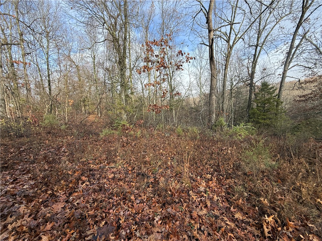 Stonebriar Place - Land