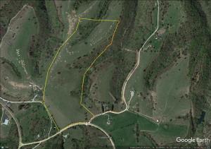 If you are wanting to get your hands on a beautiful piece of ground that is both conveniently close to the city life of beautiful Branson, MO and also gives you all the pleasures of country life, then you want to get your hands on this!60 stunning acres with amazing views is ready for your cattle, horses, hunting and/or ATVs! With only a 20 minute drive either direction to Bull Shoals Lake, Table Rock Lake or Lake Taney CoMo, you don't want to pass this up!Seller will also divide.Call today before its gone!