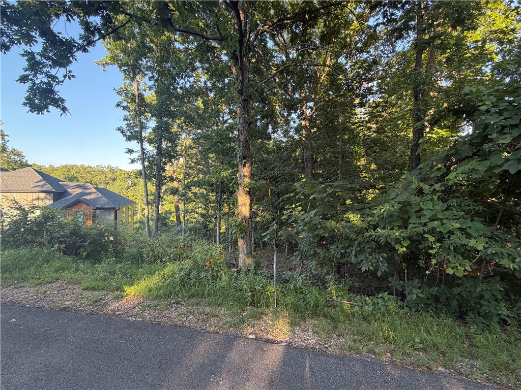 Photo 1 of 3 — Brigadoon Drive, Bella Vista, AR 72715