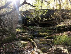 Enjoy your own private waterfall on this secluded 40 acres m/l with the headwaters of Beckham Creek running thru the property. Building site has nice views with a little clearing. Hikers/Hunters paradise.