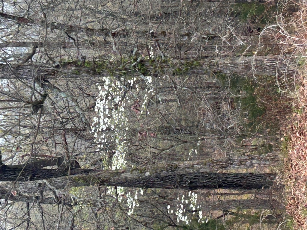 Big Sandy Informal Subdivision - Land