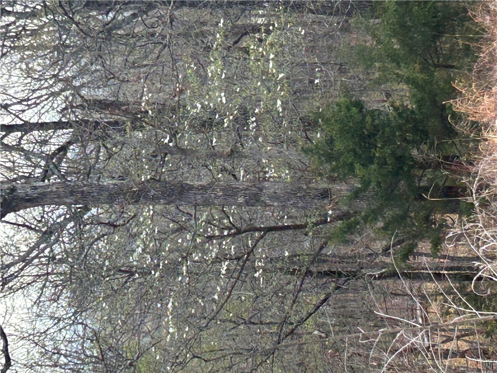 Big Sandy Informal Subdivision - Land