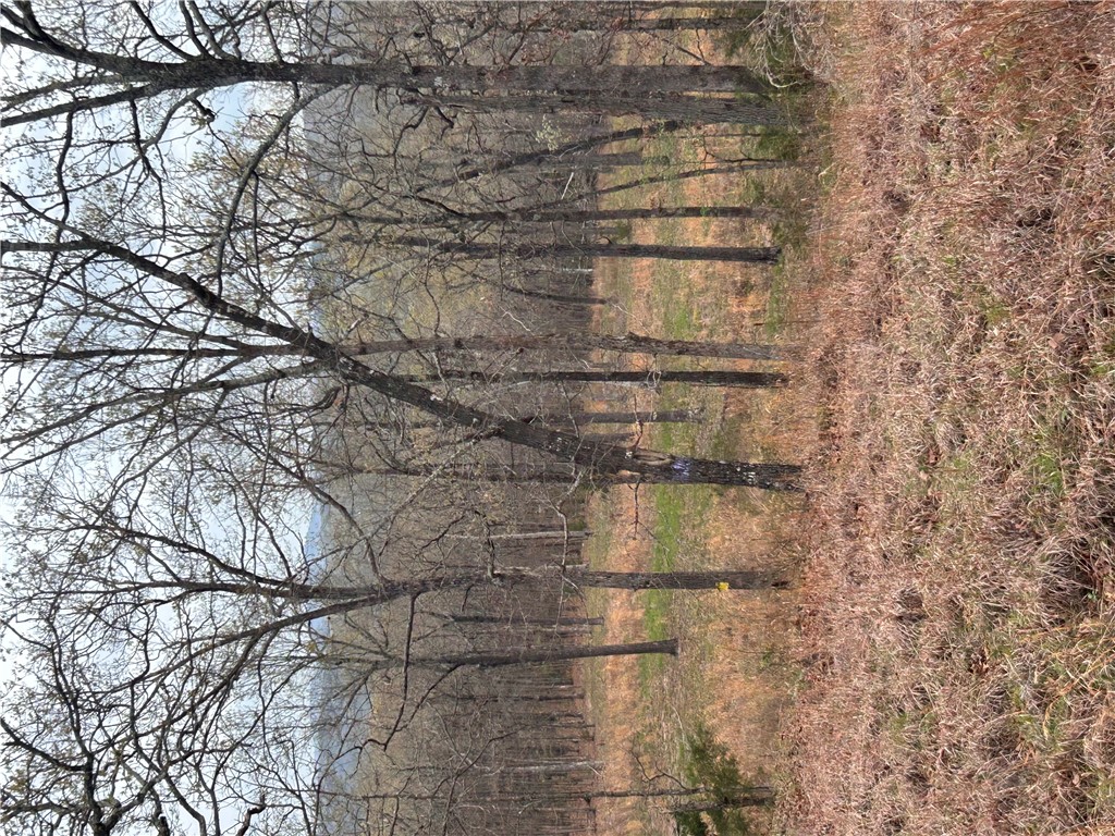 Big Sandy Informal Subdivision - Land