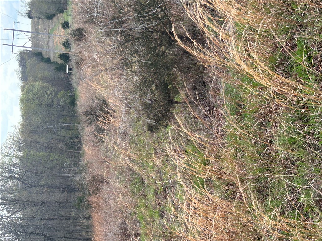 Big Sandy Informal Subdivision - Land