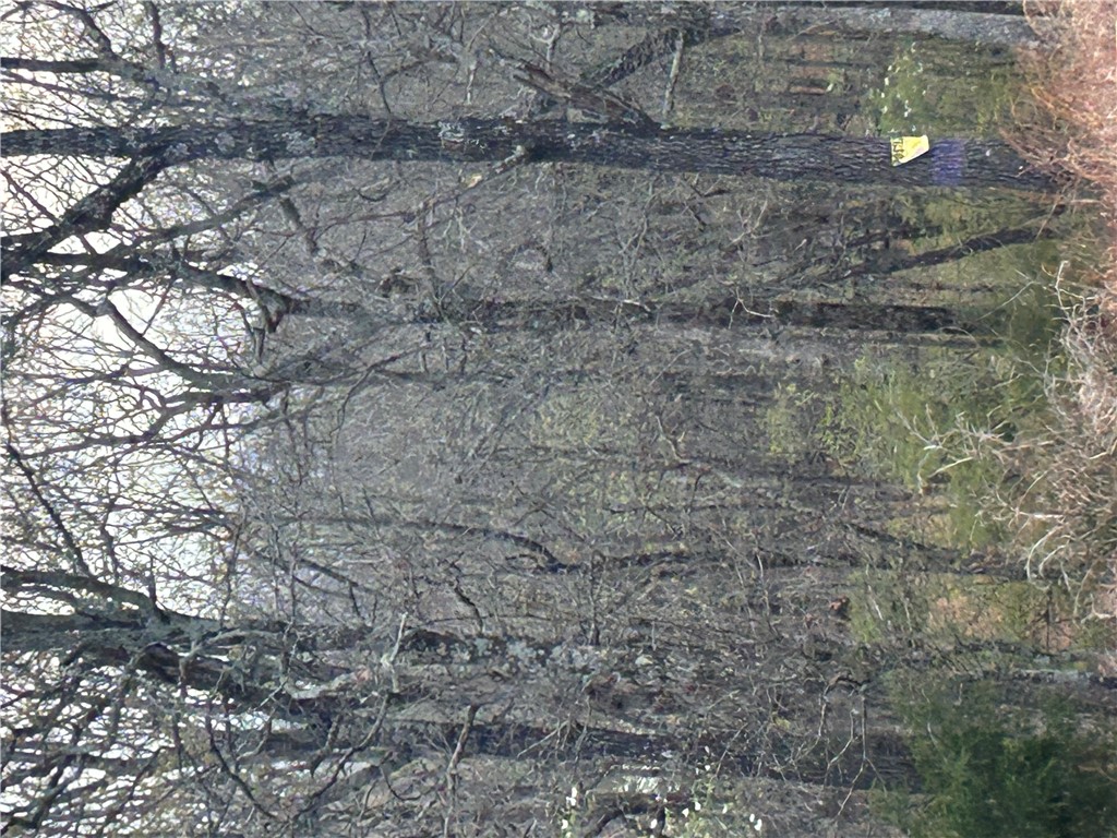 Big Sandy Informal Subdivision - Land