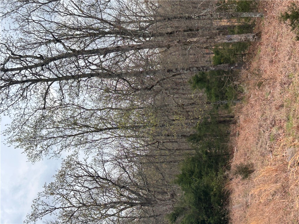 Big Sandy Informal Subdivision - Land