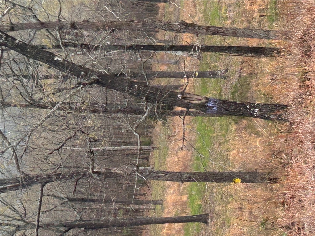 Big Sandy Informal Subdivision - Land