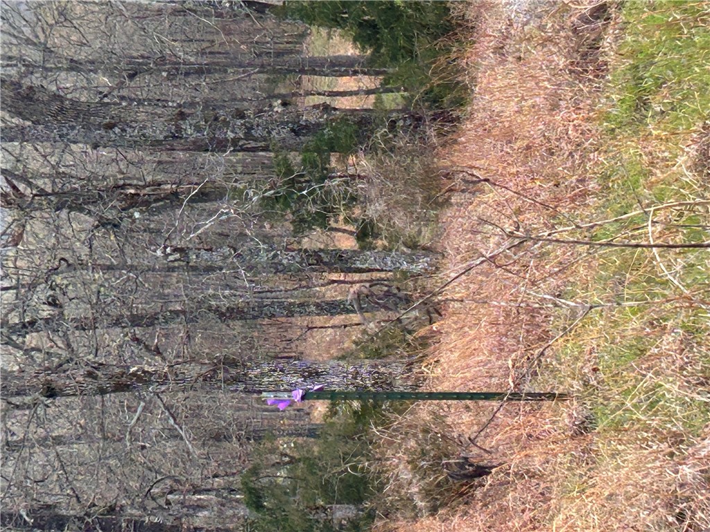 Big Sandy Informal Subdivision - Land