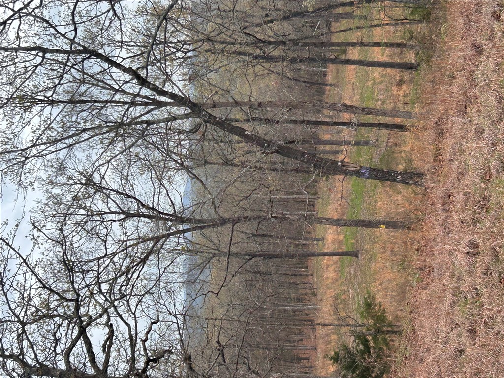 Big Sandy Informal Subdivision - Land