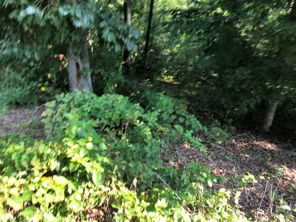 Large 0.32(+/-) acre lot in subdivision with good mixture of existing and new construction homes. Lot is steep, but very buildable. Slopes away from street so, ideal for walkout.
