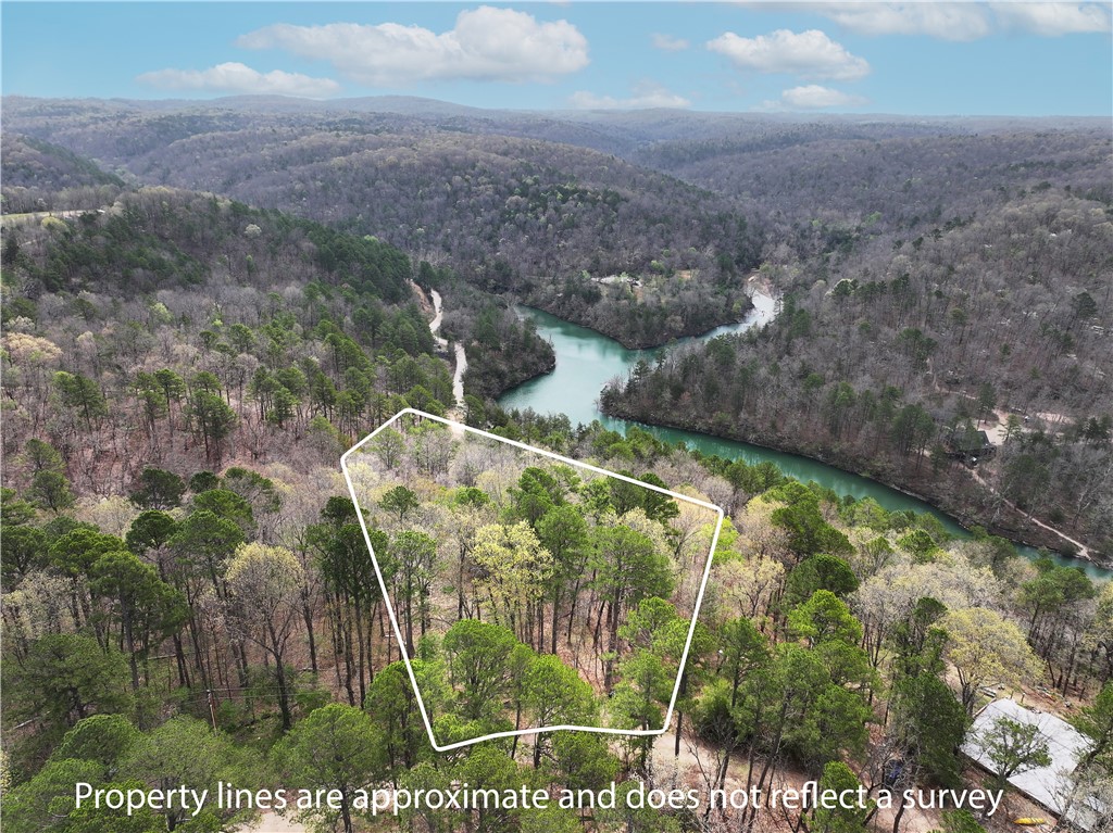 Perfect building site for a lake view in Hogscald! Enter from either Hogscald Road at the bottom of the property or on the upper side at CR 1486. Surveyed in February 2025, this property has a beautiful lake view, shared well, and two separate potential building sites.