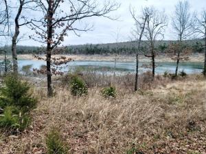 Dock Approved Cove Lake Property! Lake view with Big shop already built on property with electric, septic and well. Shop has bathroom with shower. Walk down to your boat slip and enjoy the lake!