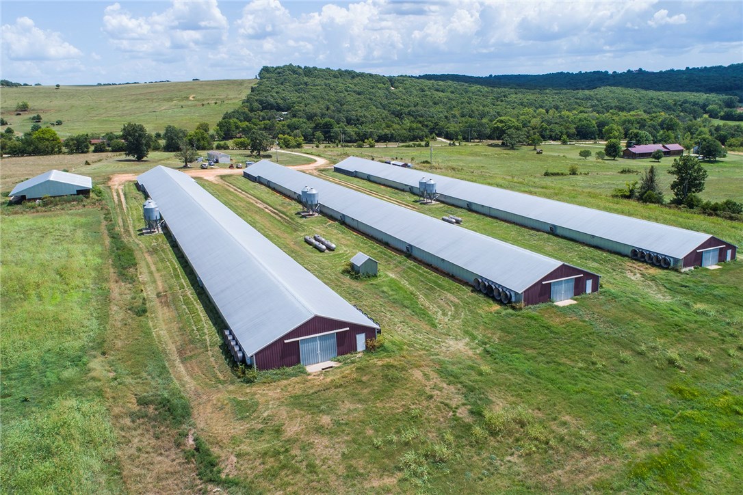 Broilerville - Farm