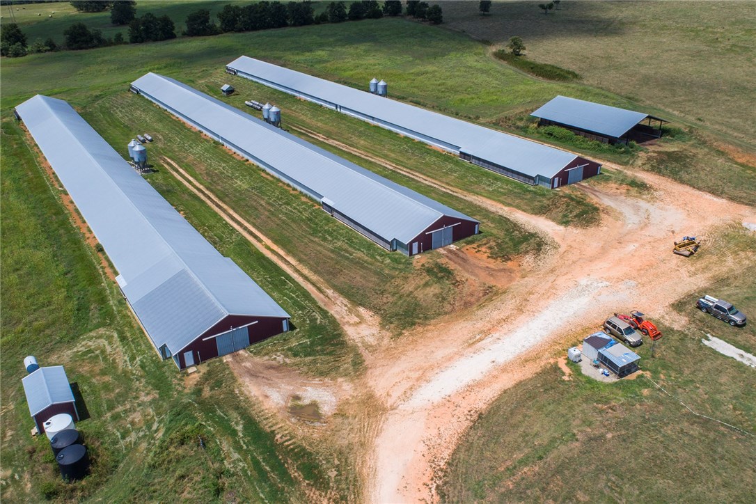 Broilerville - Farm